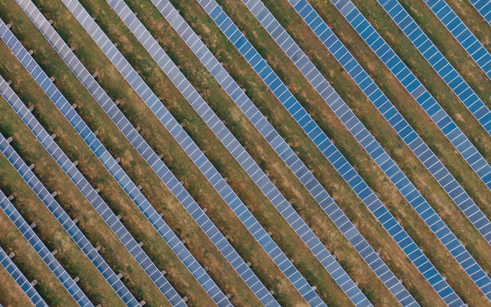 Diagonal rows of solar panels